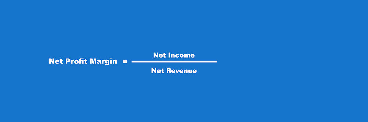 financial ratios net profit margin