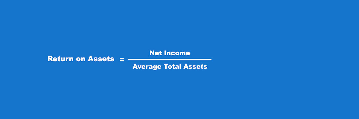 financial ratios return on assets